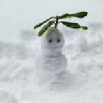 Auch ein Schneebär braucht einen Schal