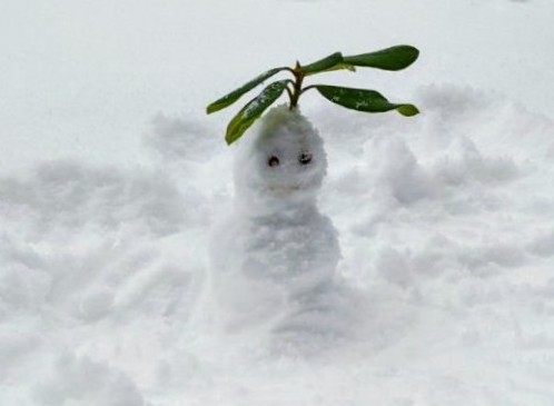 Du betrachtest gerade Auch ein Schneebär braucht einen Schal