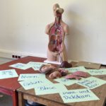 Eindrückliche Aha-Momente bei der 8c