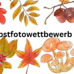 Macht Albert zum Star eurer Herbstfotos!