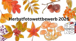 Mehr über den Artikel erfahren Macht Albert zum Star eurer Herbstfotos!